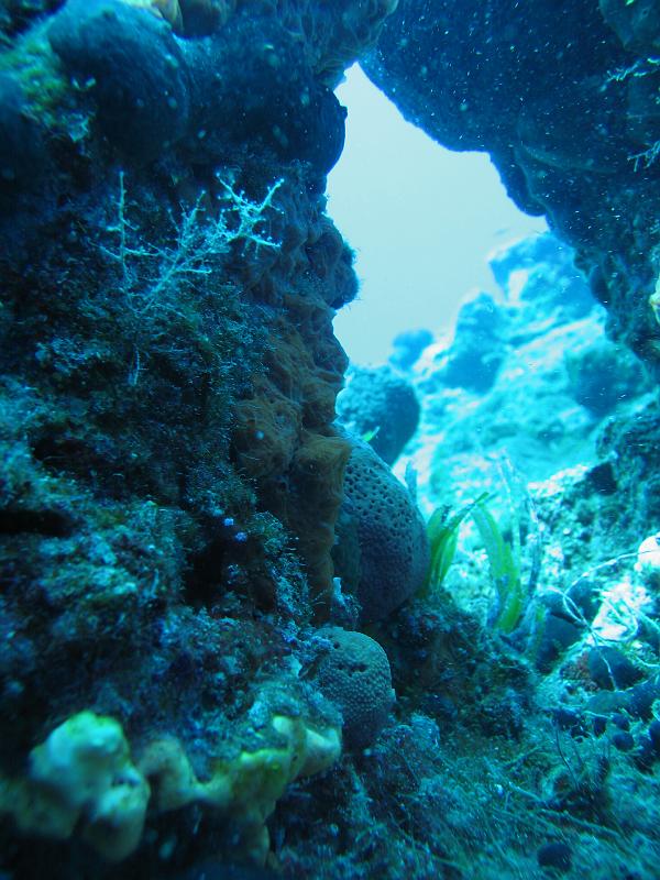 Coll TU 068.JPG